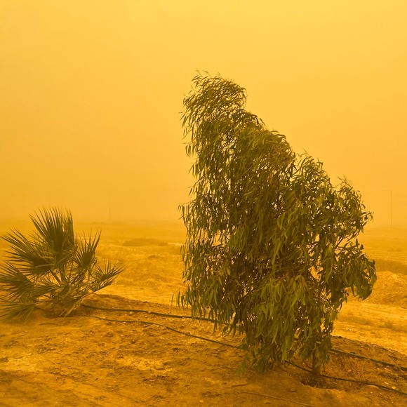 Meet your Posher, Rory - Picture 1 of 1